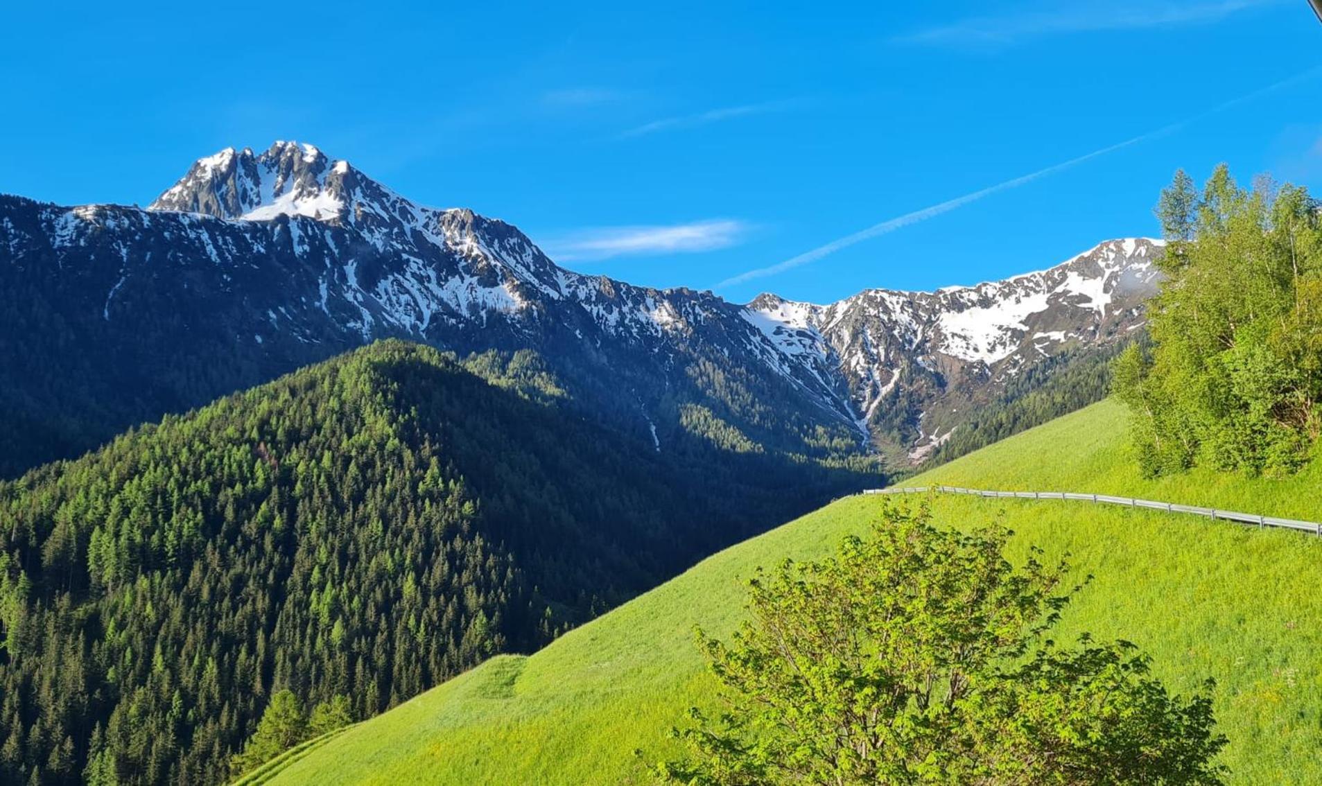 Gasserhof Кампо ди Тренс Екстериор снимка