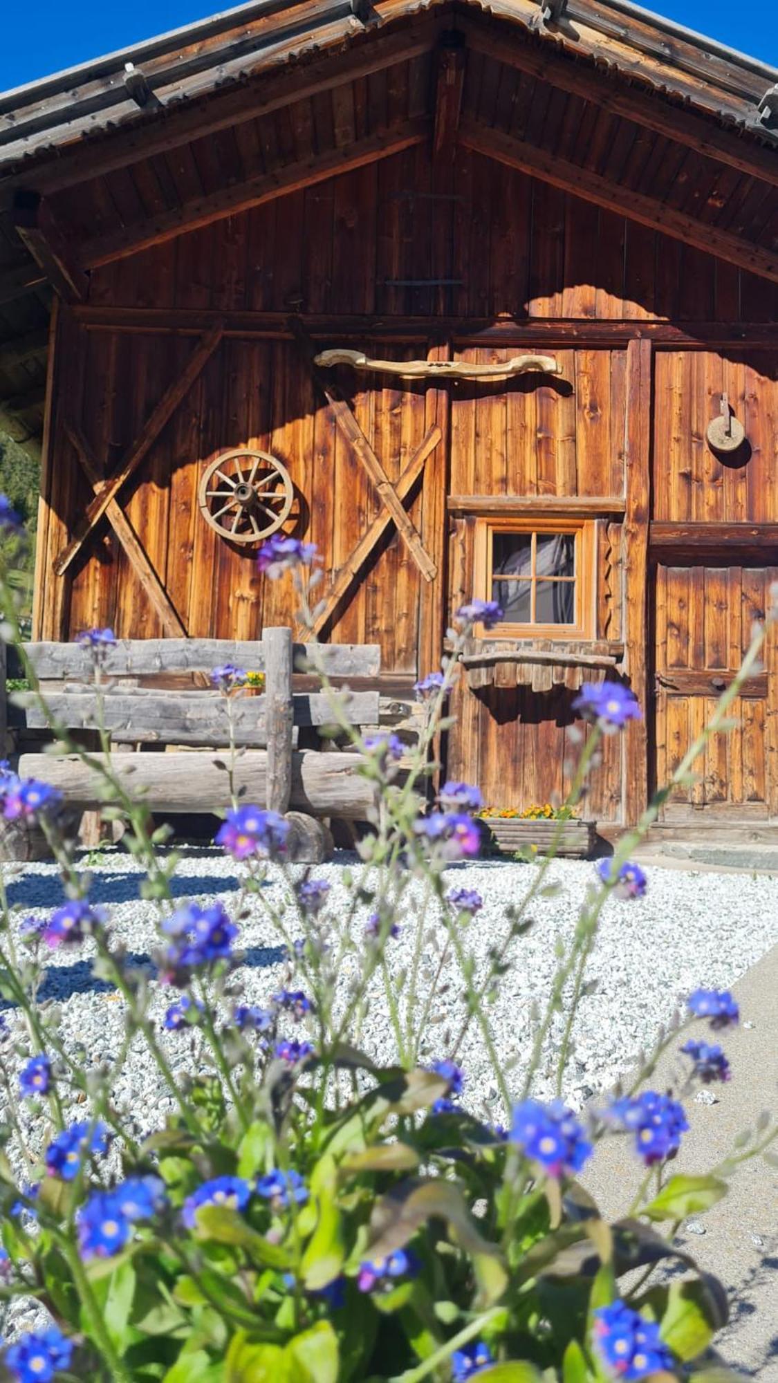 Gasserhof Кампо ди Тренс Екстериор снимка