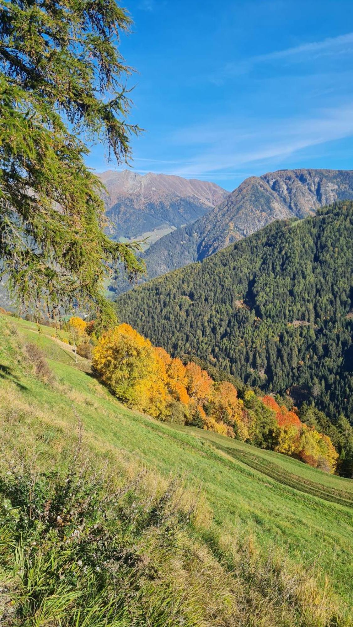 Gasserhof Кампо ди Тренс Екстериор снимка